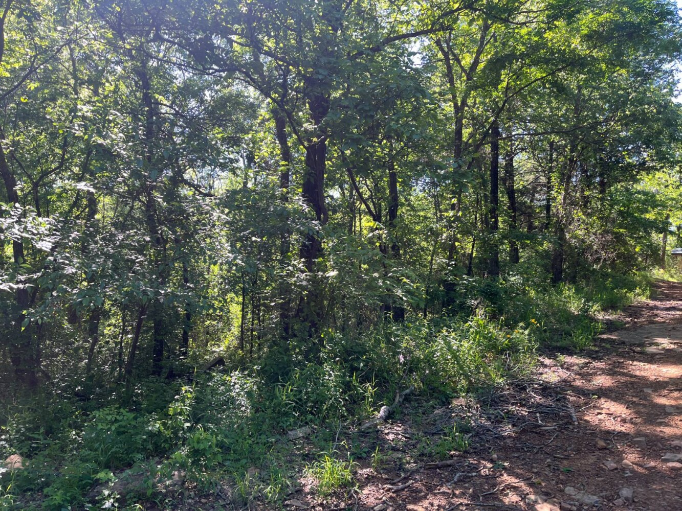Land for Sale in Pushmataha County, OK (26 of 29)