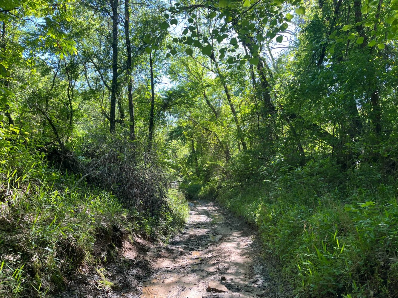 Land for Sale in Pushmataha County, OK (27 of 29)
