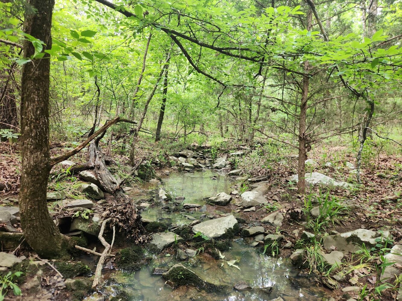 Land for Sale in Latimer County, OK (2 of 16)