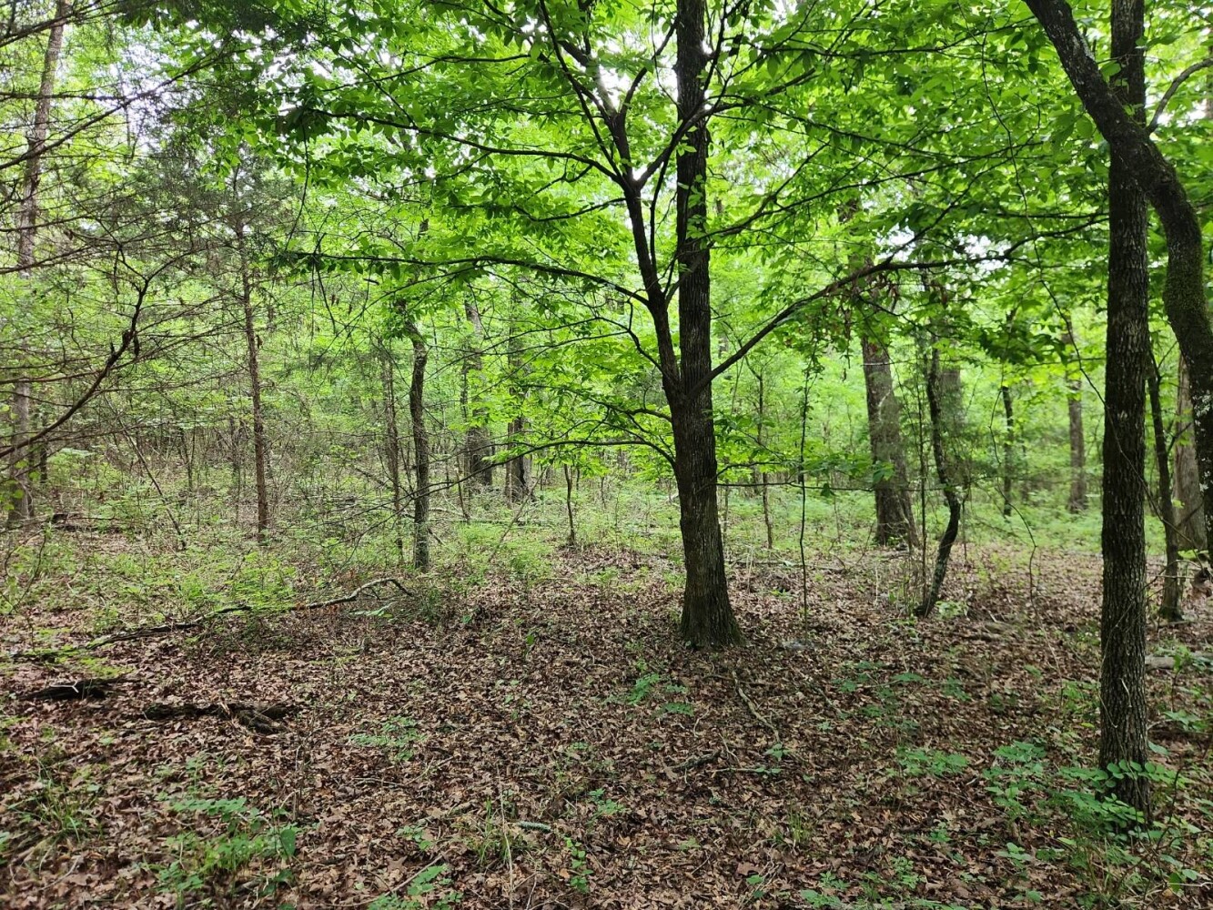 Land for Sale in Latimer County, OK (3 of 16)