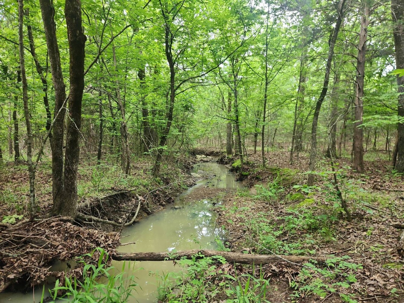 Land for Sale in Latimer County, OK (4 of 16)