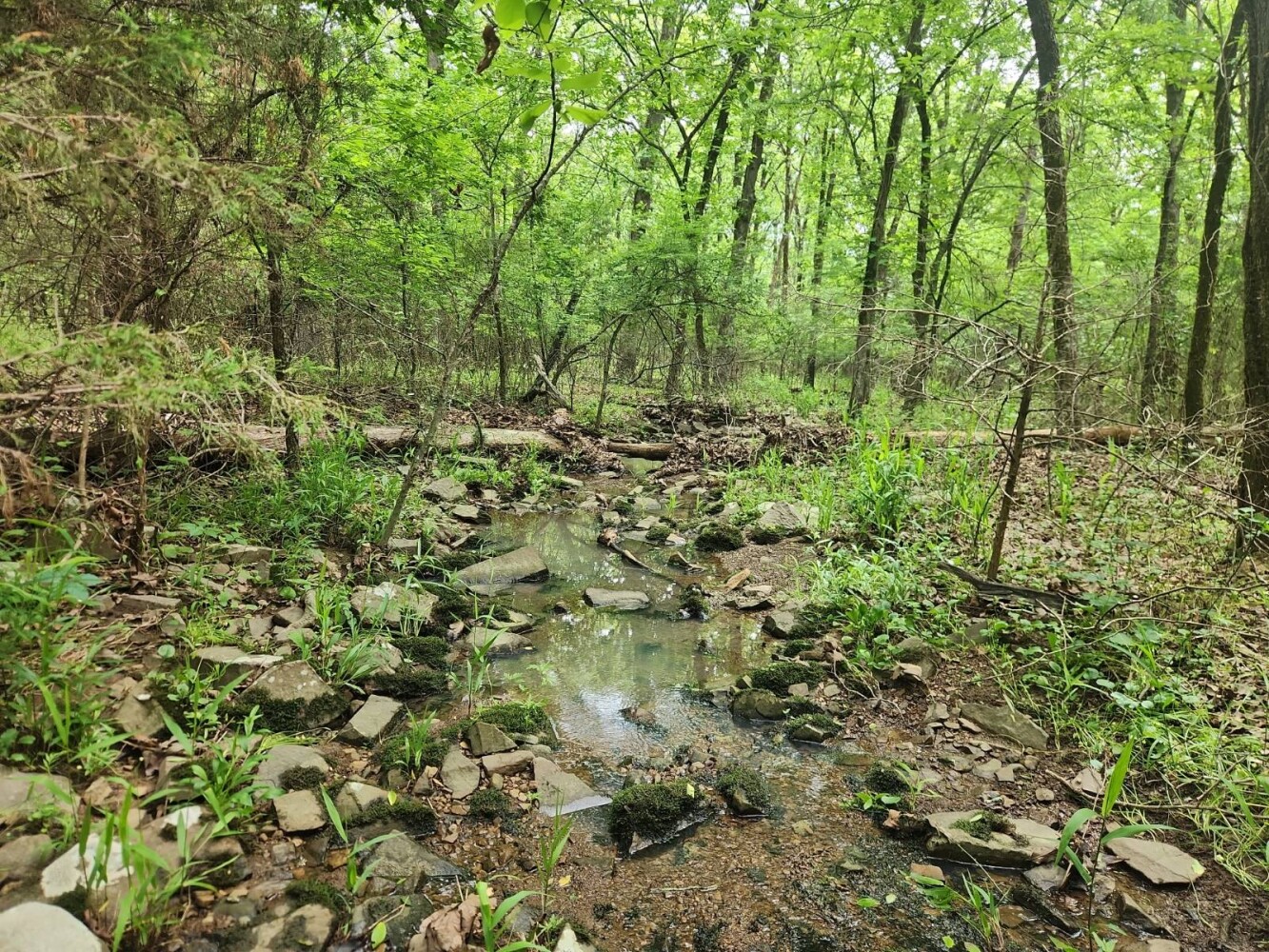 Land for Sale in Latimer County, OK (5 of 16)