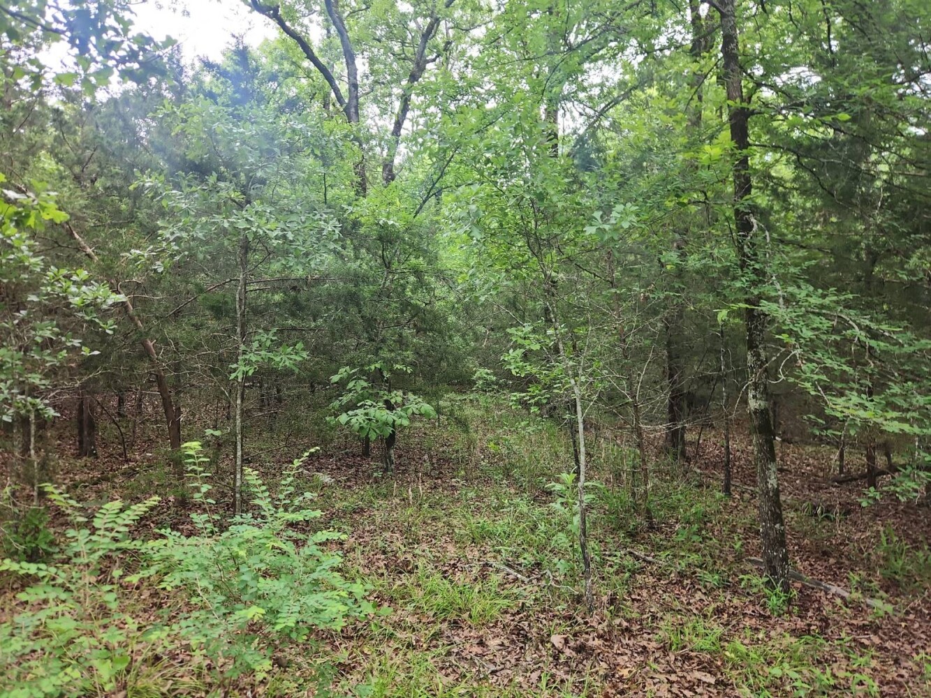 Land for Sale in Latimer County, OK (9 of 16)