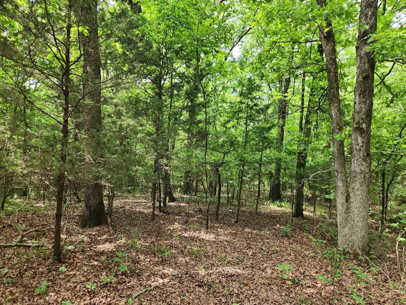 Land for Sale in Latimer County, OK (11 of 16)