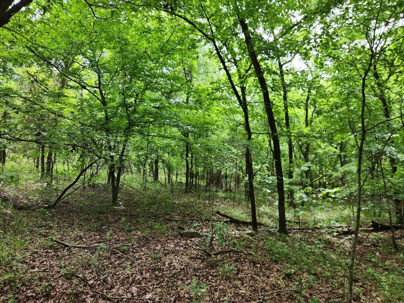 Land for Sale in Latimer County, OK (12 of 16)