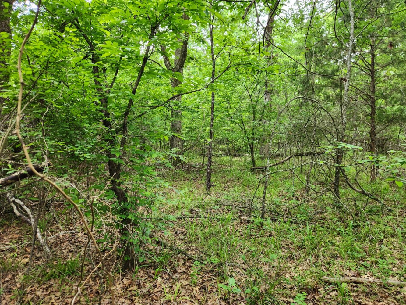 Land for Sale in Latimer County, OK (14 of 16)
