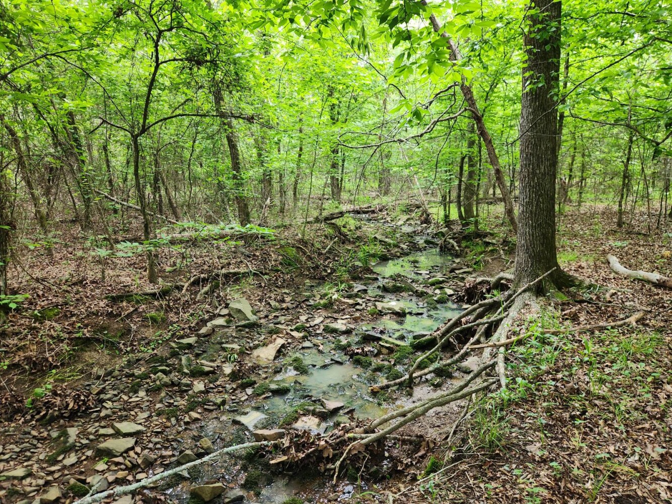 Land for Sale in Latimer County, OK (15 of 16)