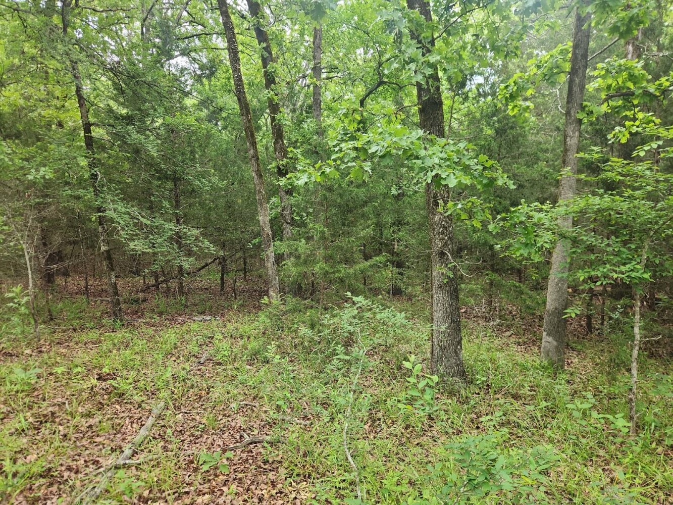 Land for Sale in Latimer County, OK (16 of 16)