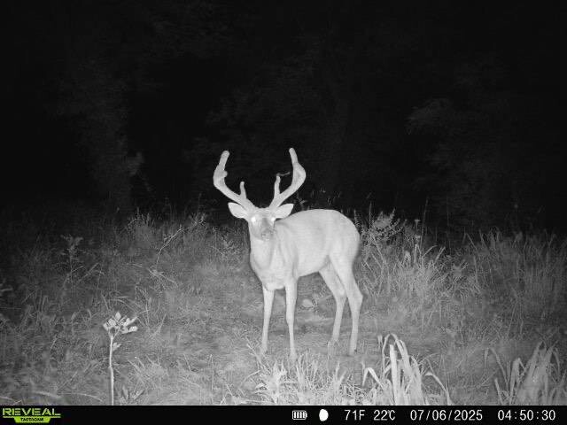 Land for Sale in Anderson County, KS (5 of 45)