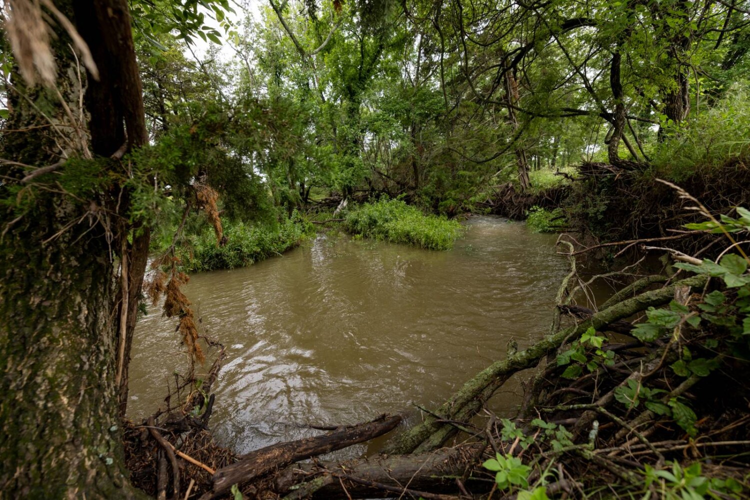 Land for Sale in Anderson County, KS (6 of 45)