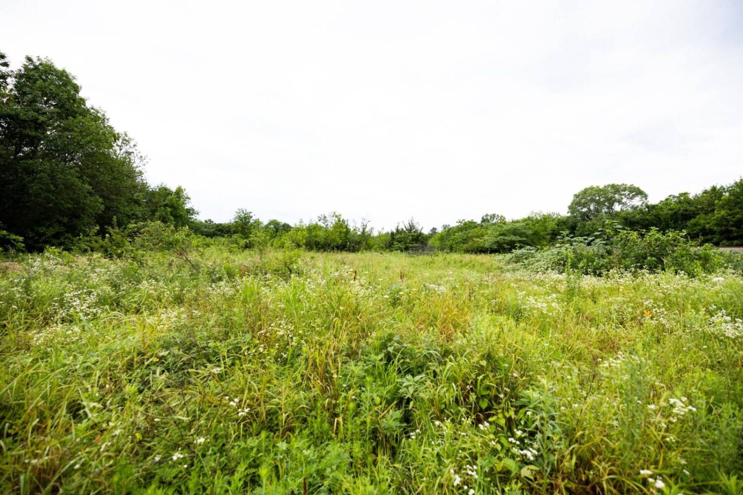 Land for Sale in Anderson County, KS (10 of 45)