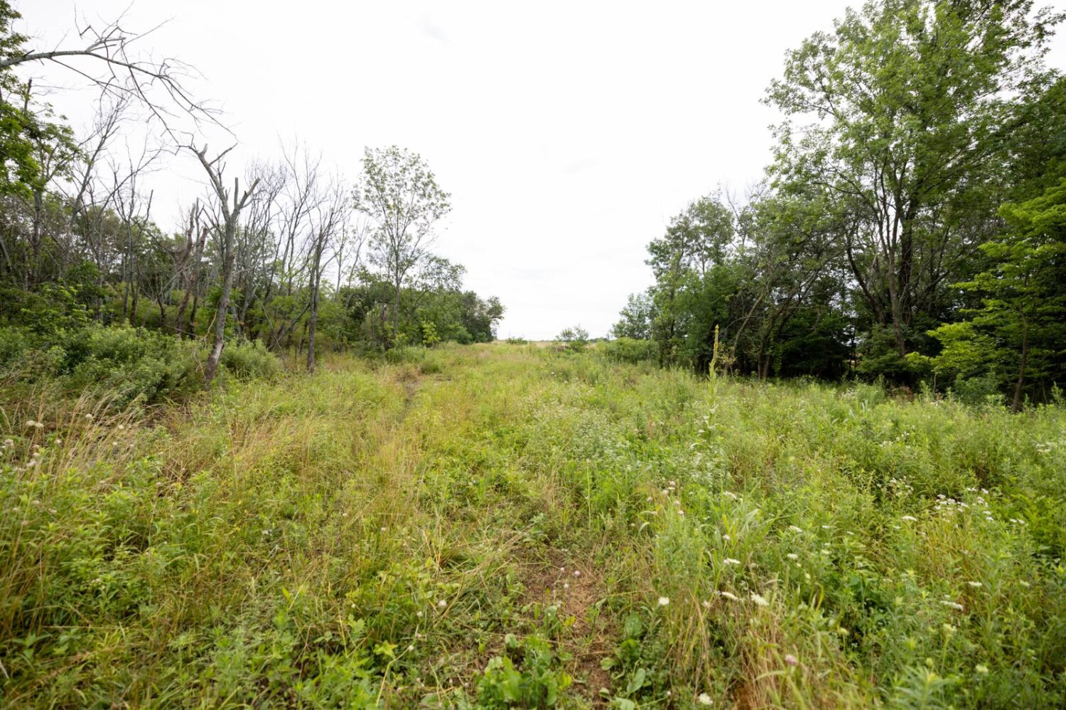 Land for Sale in Anderson County, KS (11 of 45)