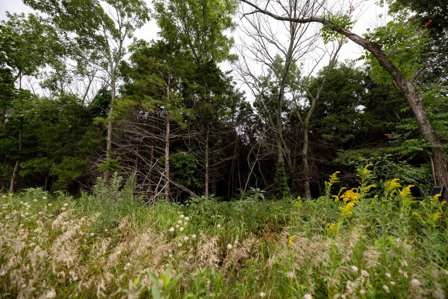Land for Sale in Anderson County, KS (12 of 45)