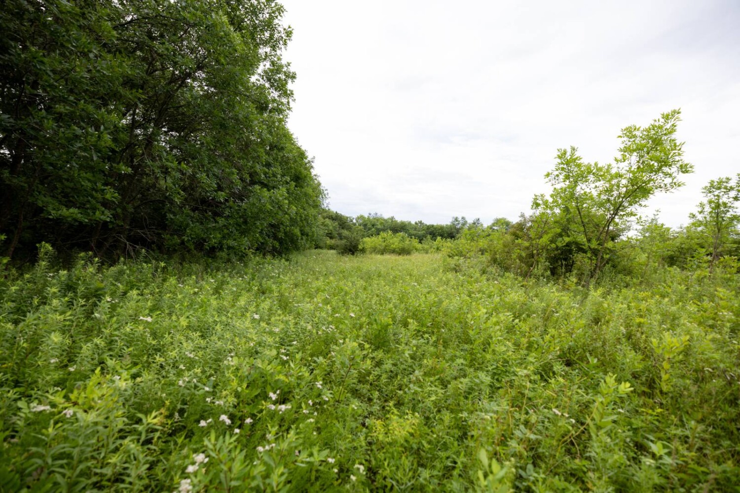 Land for Sale in Anderson County, KS (13 of 45)