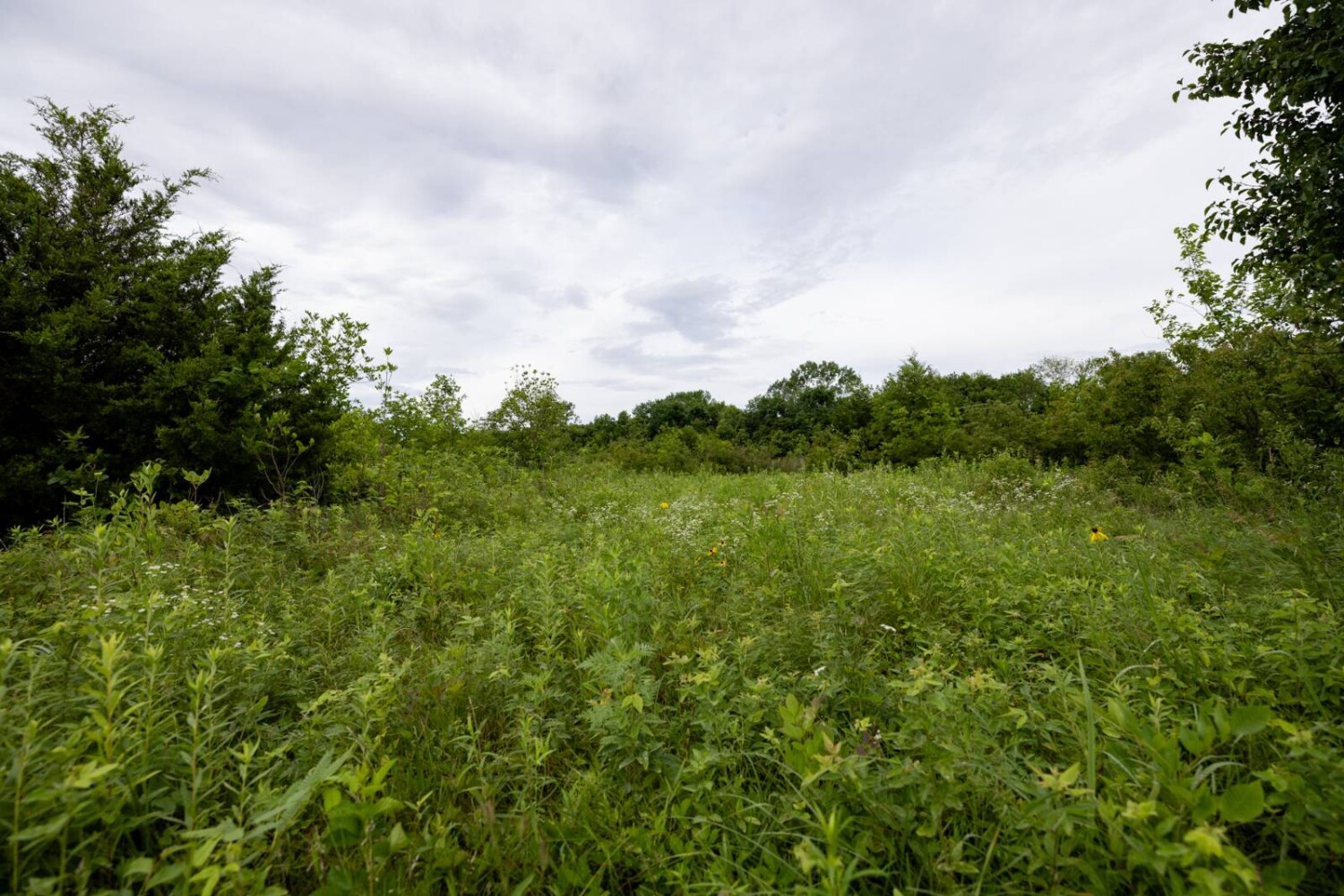 Land for Sale in Anderson County, KS (14 of 45)