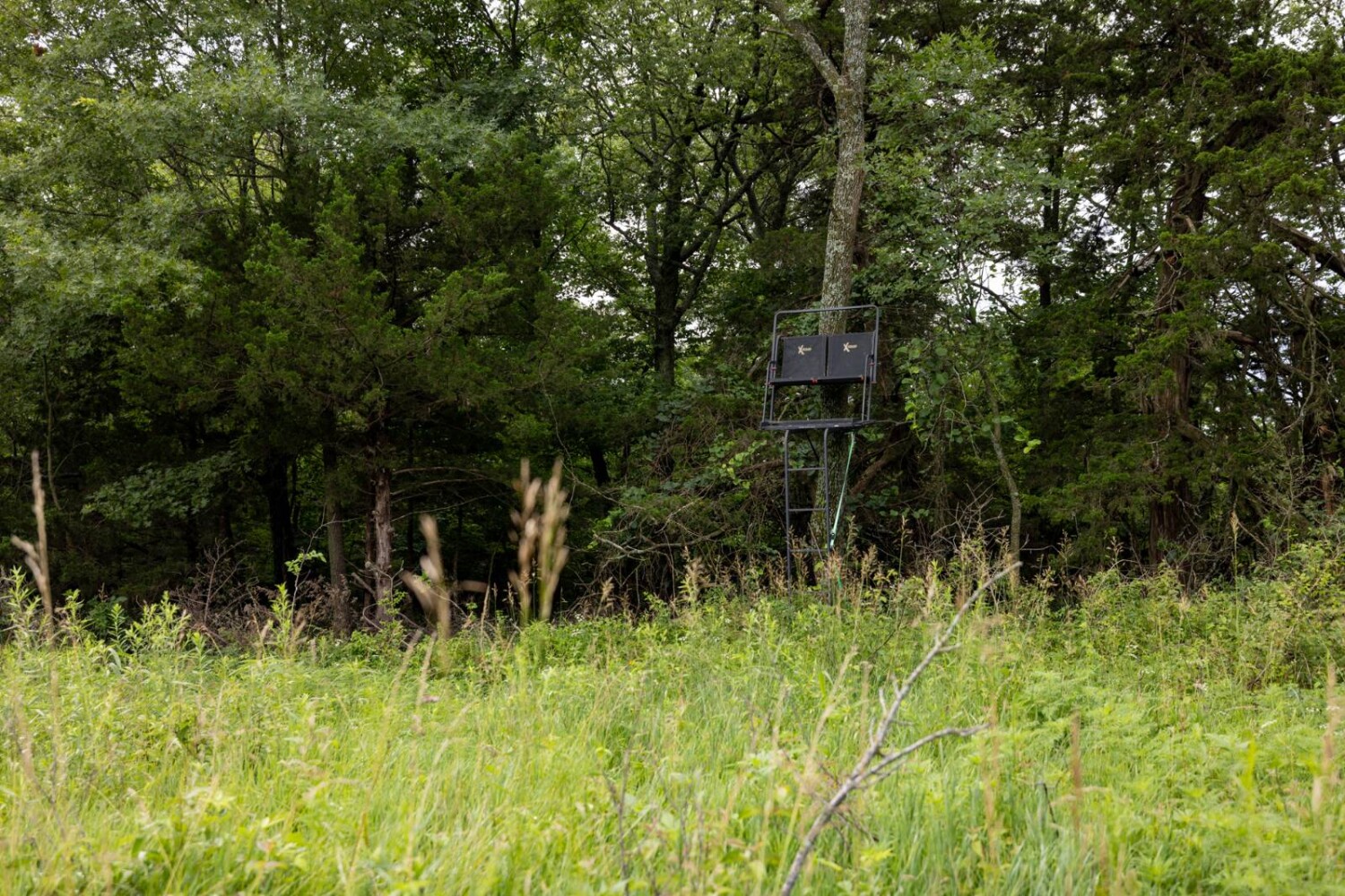 Land for Sale in Anderson County, KS (16 of 45)