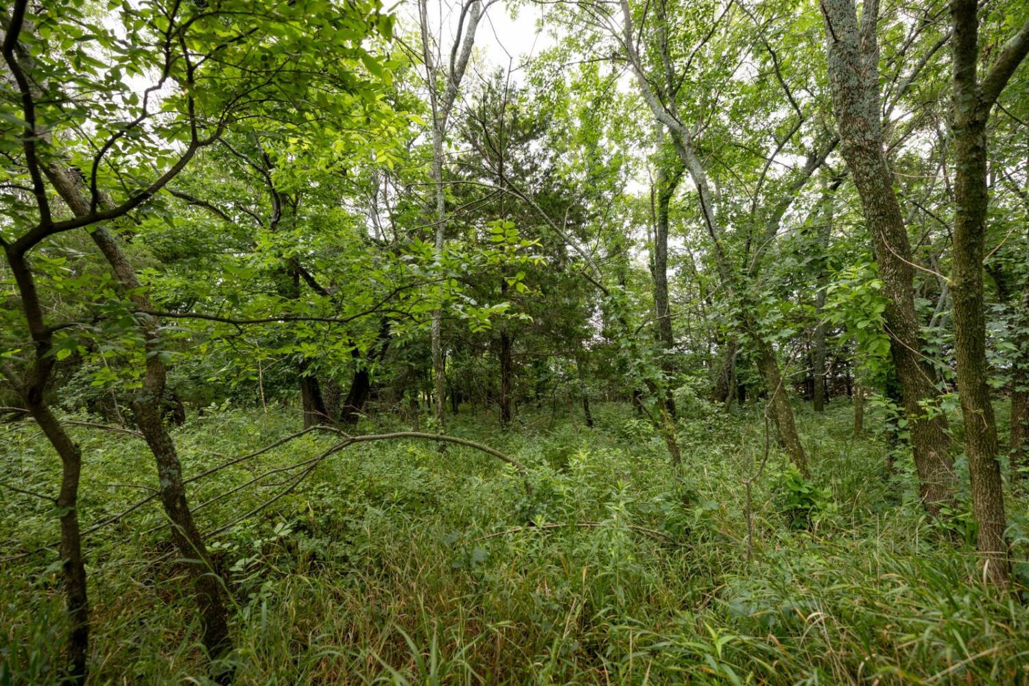 Land for Sale in Anderson County, KS (18 of 45)