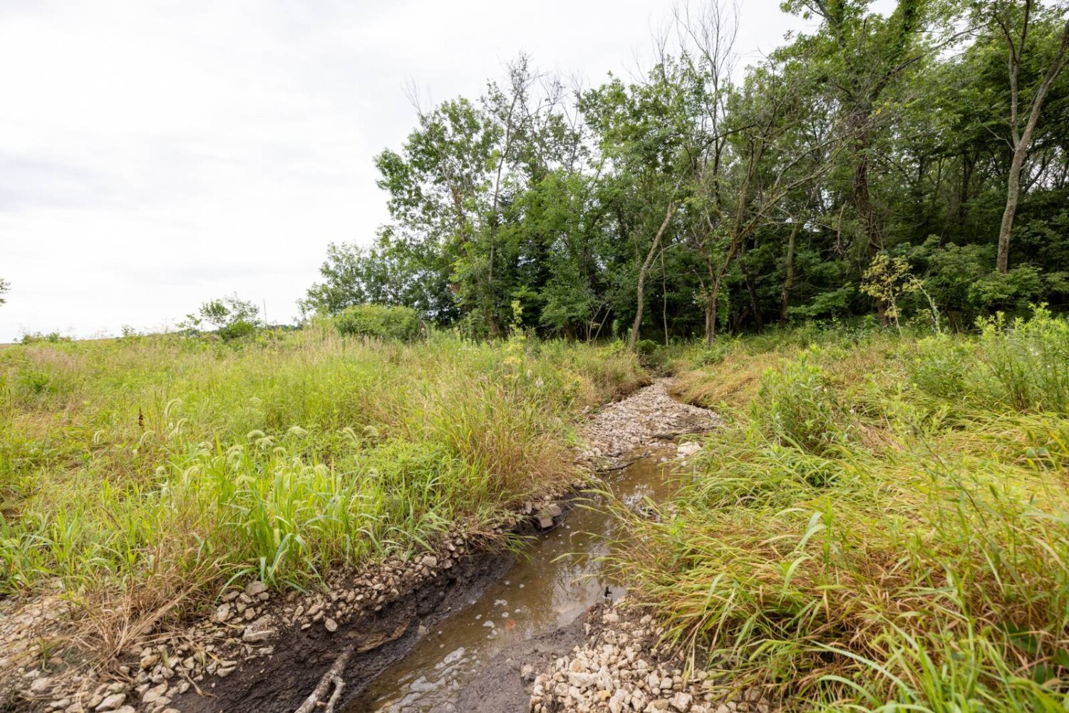 Land for Sale in Anderson County, KS (19 of 45)