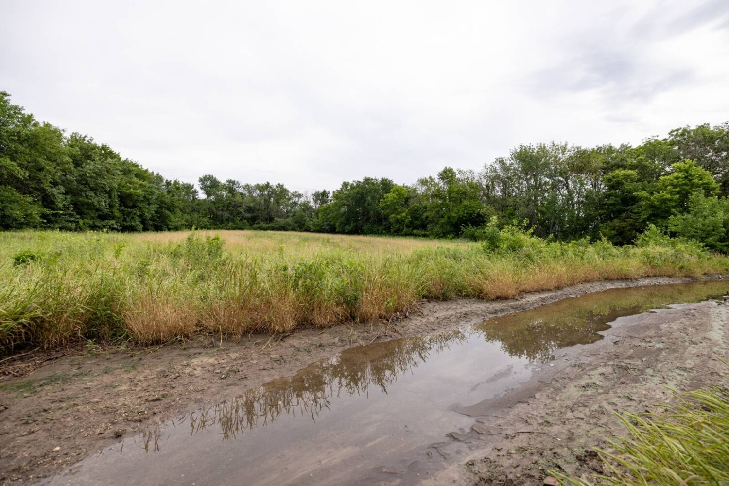 Land for Sale in Anderson County, KS (20 of 45)