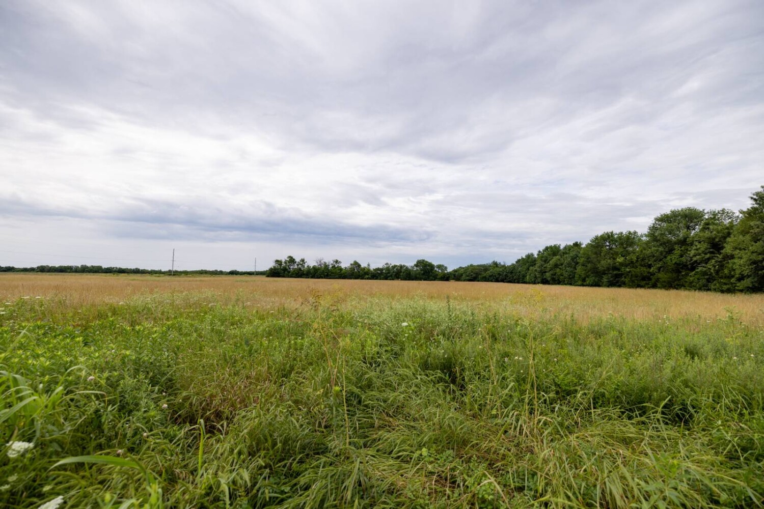 Land for Sale in Anderson County, KS (21 of 45)
