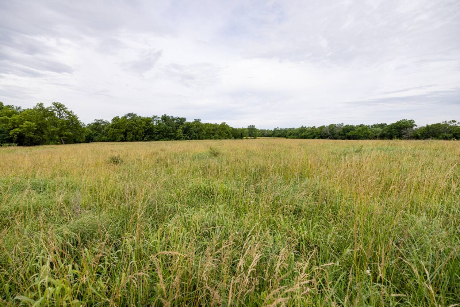 Land for Sale in Anderson County, KS (22 of 45)