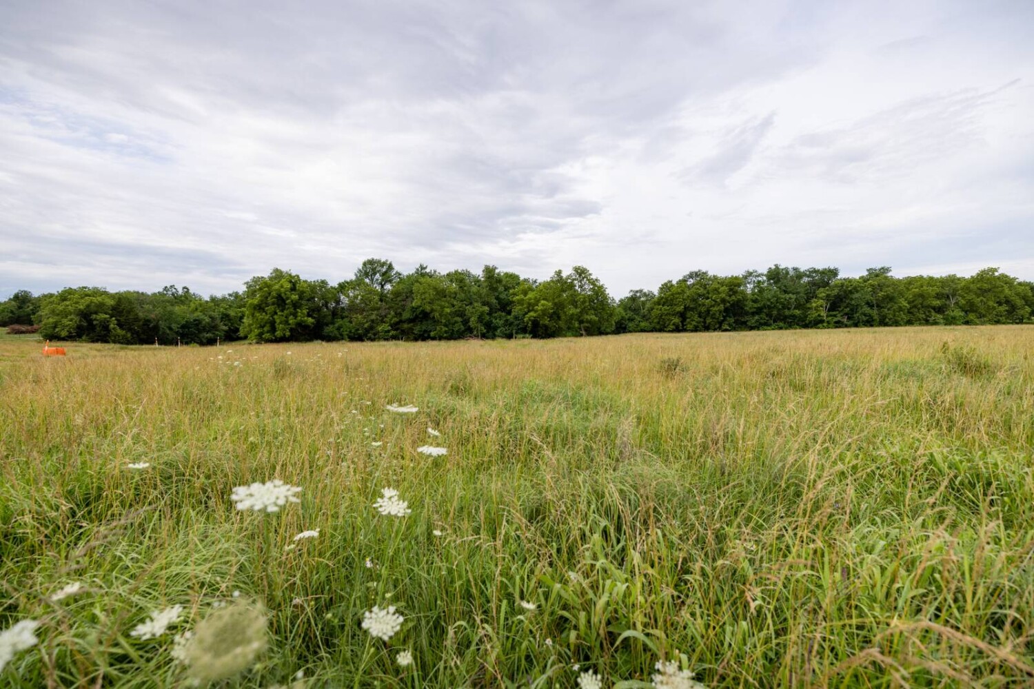 Land for Sale in Anderson County, KS (23 of 45)