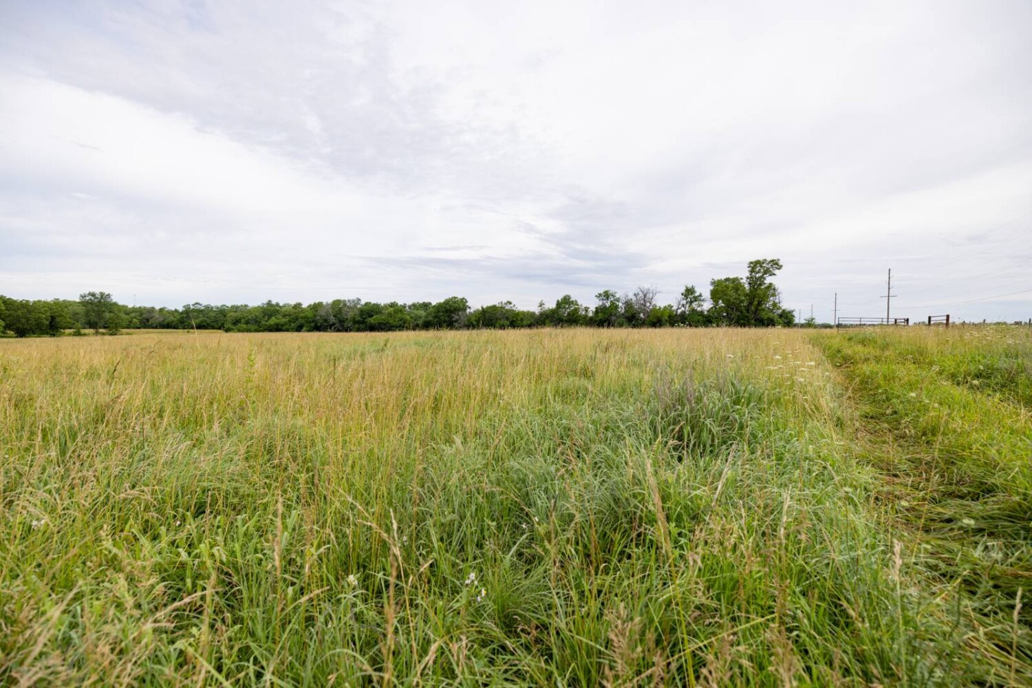 Land for Sale in Anderson County, KS (24 of 45)