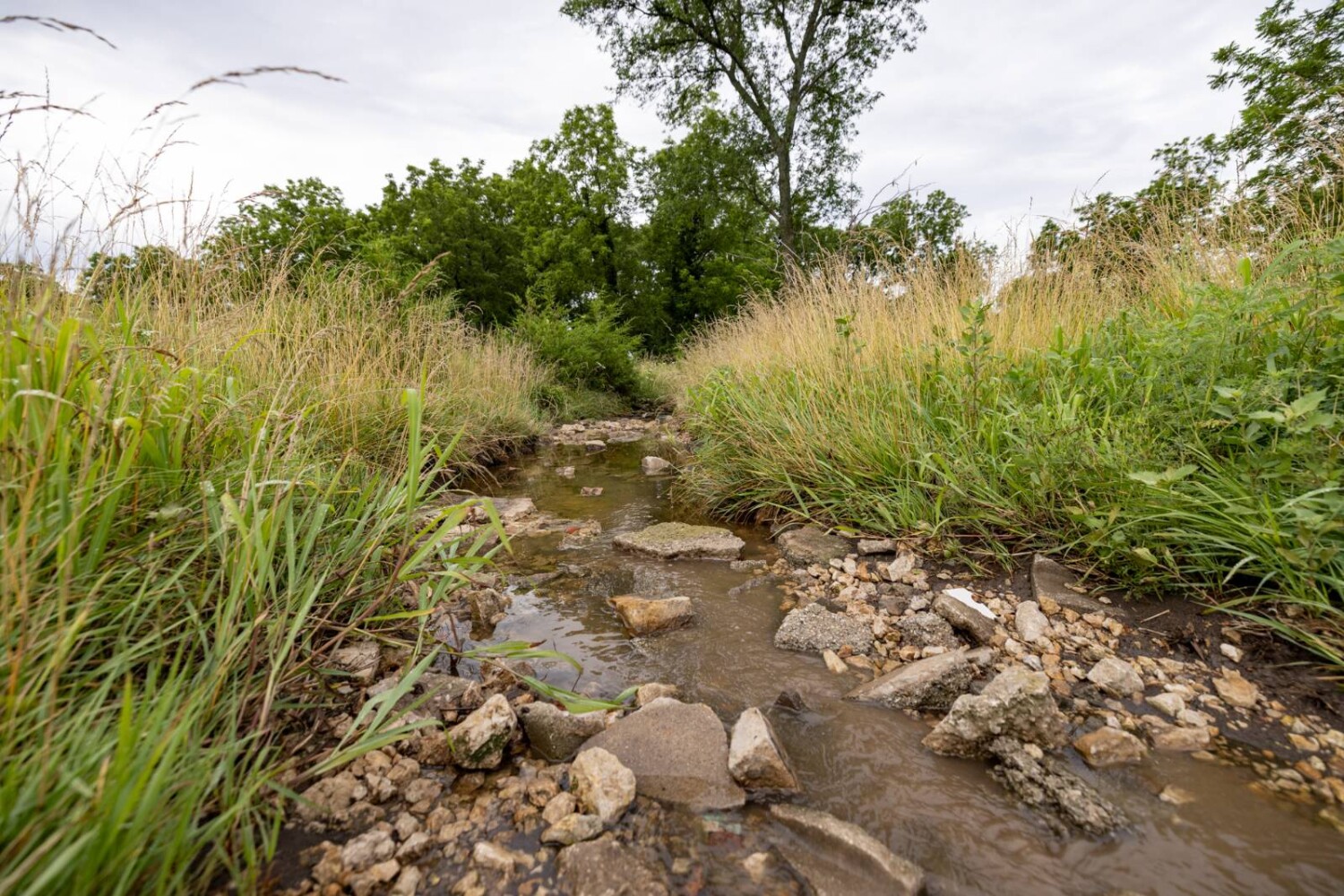 Land for Sale in Anderson County, KS (25 of 45)