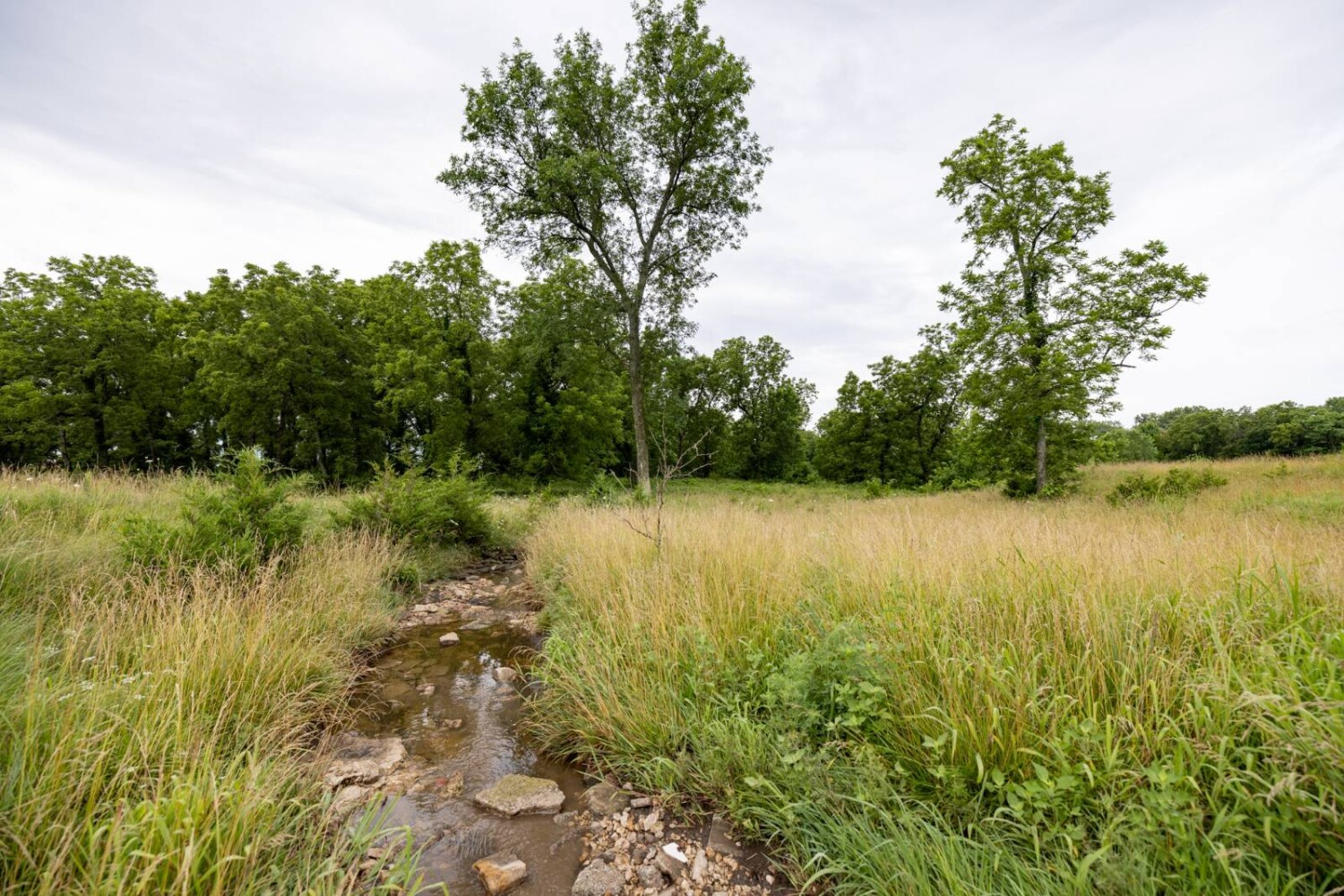 Land for Sale in Anderson County, KS (26 of 45)