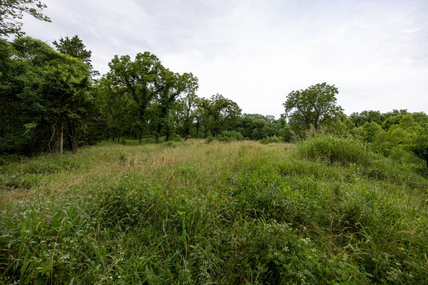 Land for Sale in Anderson County, KS (27 of 45)
