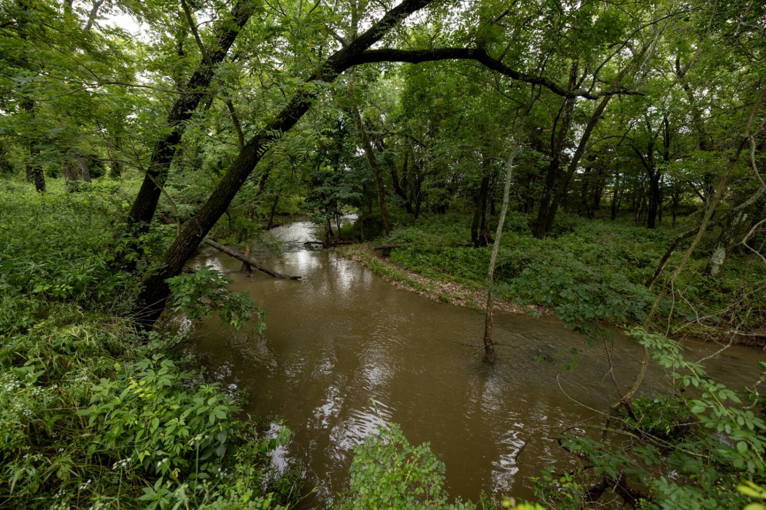 Land for Sale in Anderson County, KS (29 of 45)