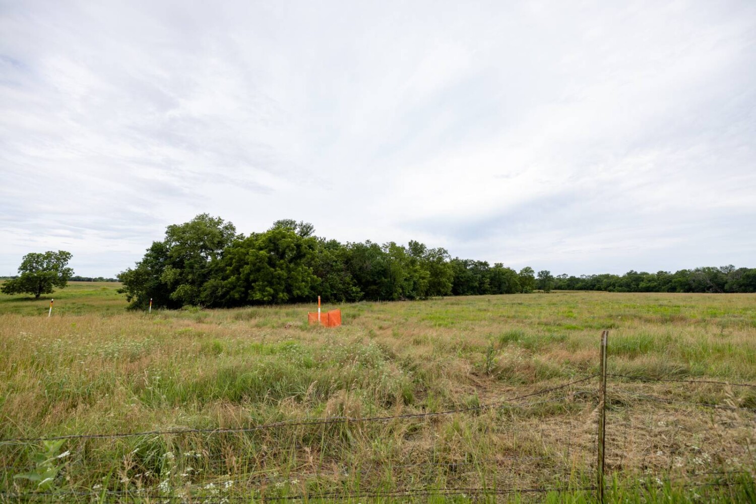 Land for Sale in Anderson County, KS (32 of 45)