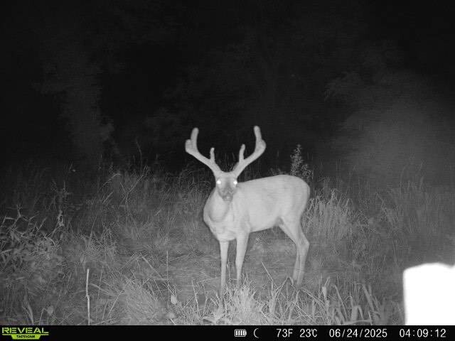 Land for Sale in Anderson County, KS (45 of 45)