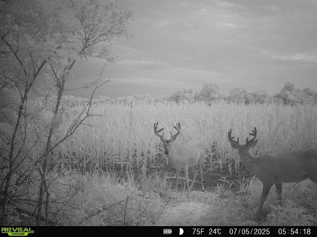 Land for Sale in Osage County, KS (2 of 40)