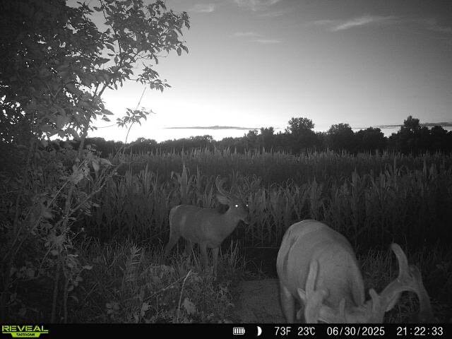 Land for Sale in Osage County, KS (3 of 40)