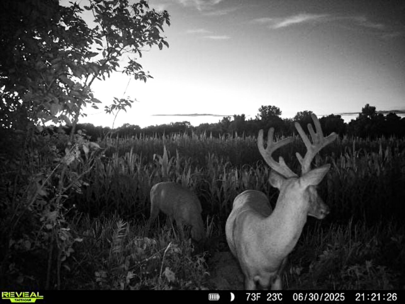 Land for Sale in Osage County, KS (4 of 40)