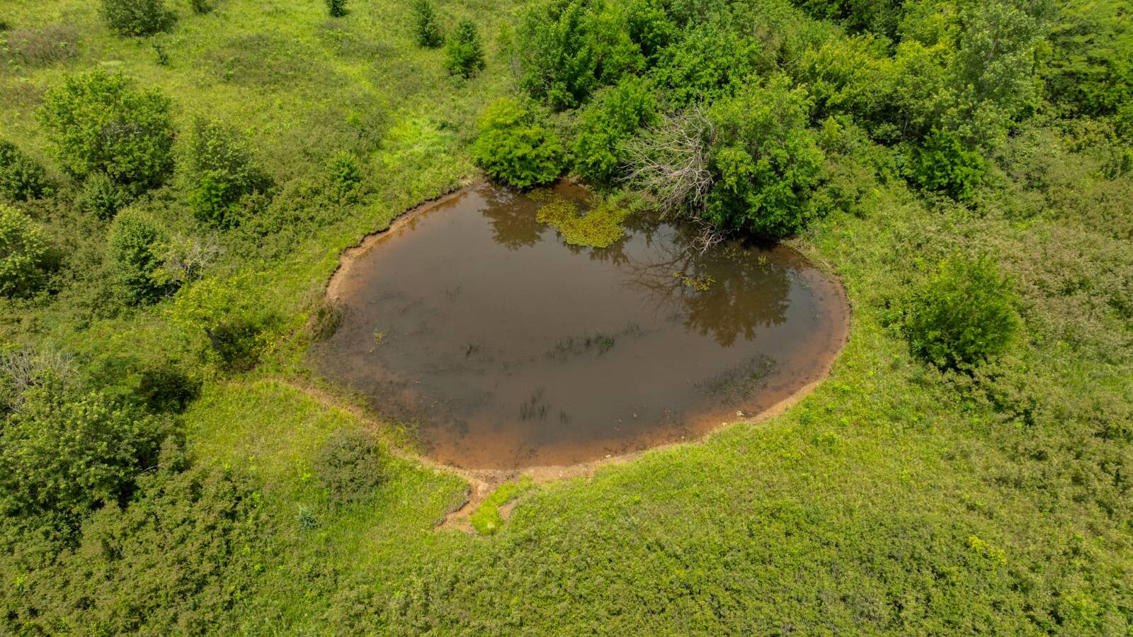 Land for Sale in Osage County, KS (7 of 40)