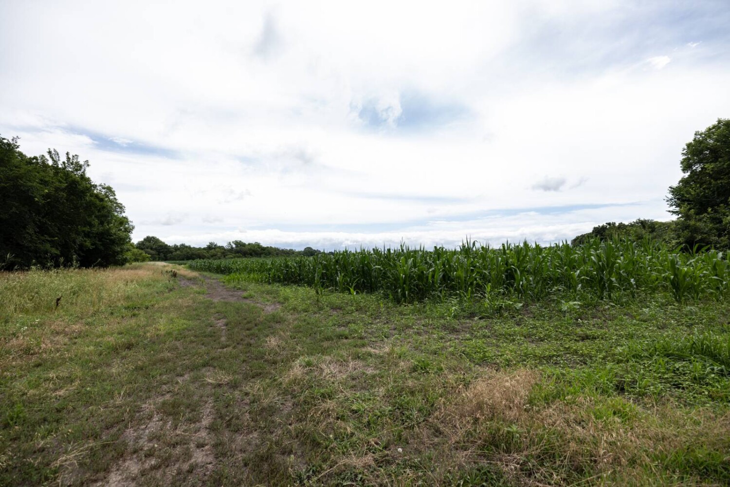Land for Sale in Osage County, KS (9 of 40)