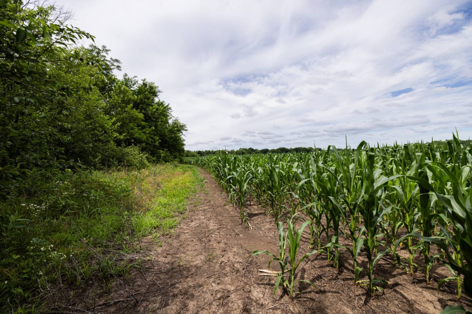 Land for Sale in Osage County, KS (20 of 40)