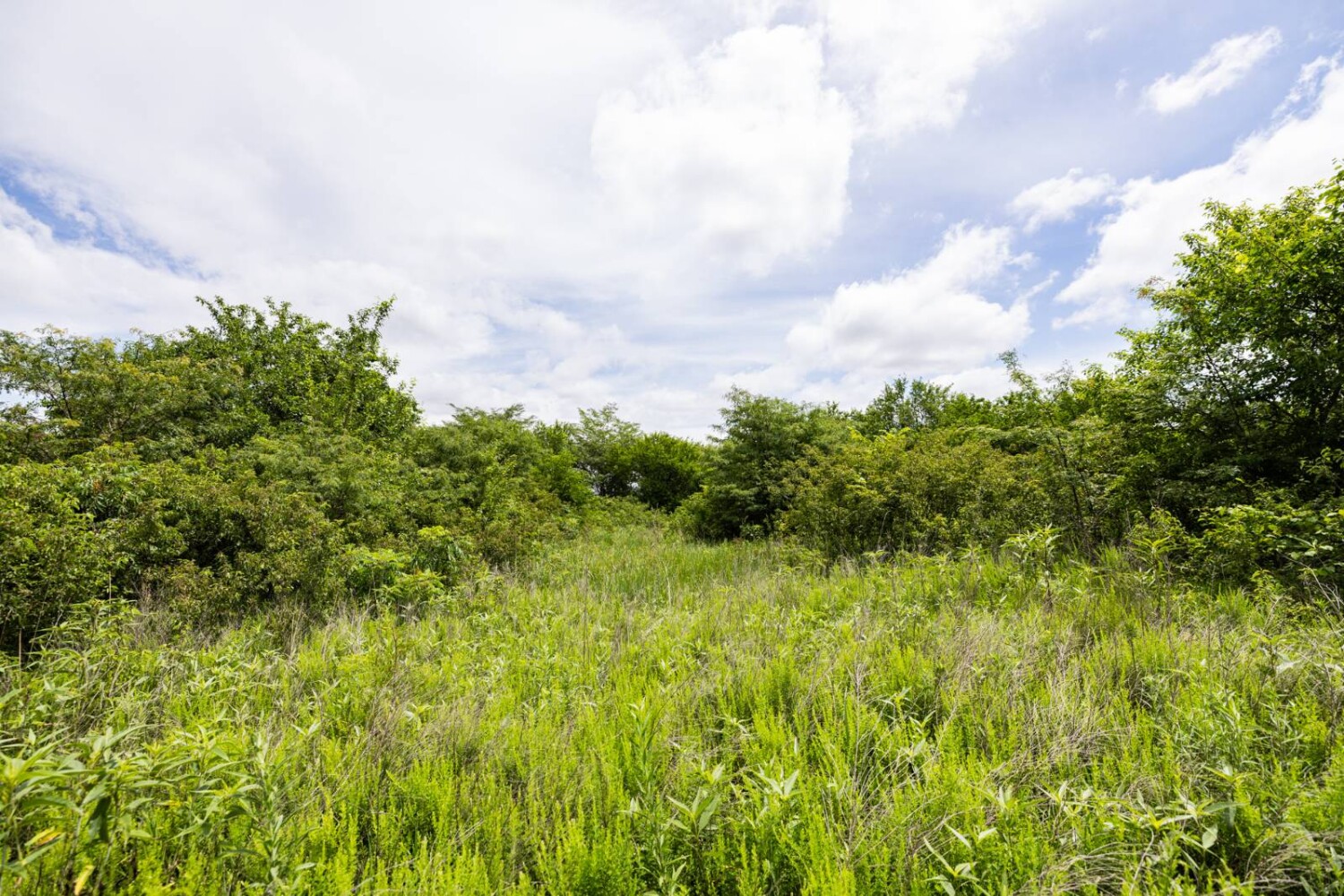 Land for Sale in Osage County, KS (22 of 40)