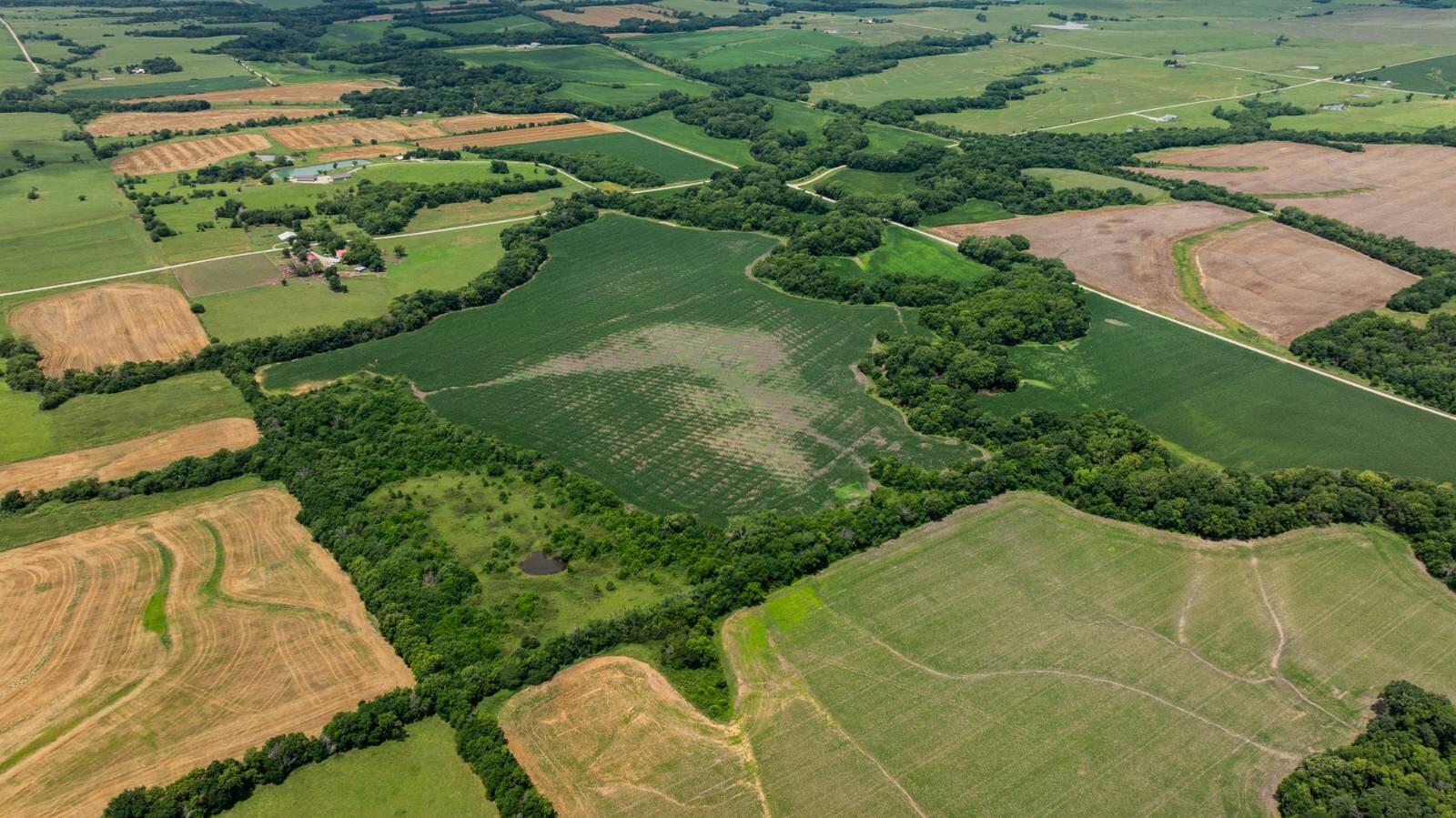 Land for Sale in Osage County, KS (27 of 40)