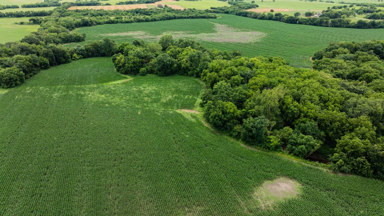 Land for Sale in Osage County, KS (31 of 40)