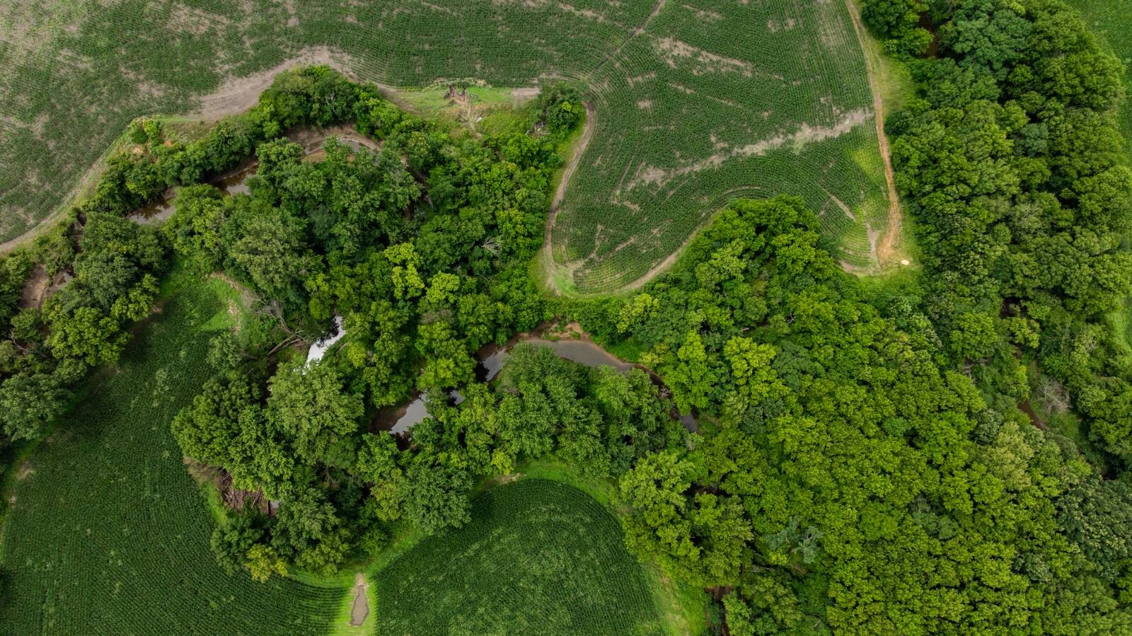 Land for Sale in Osage County, KS (32 of 40)