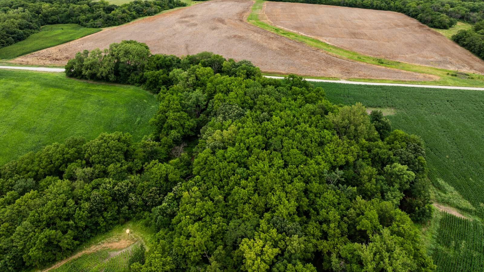 Land for Sale in Osage County, KS (34 of 40)