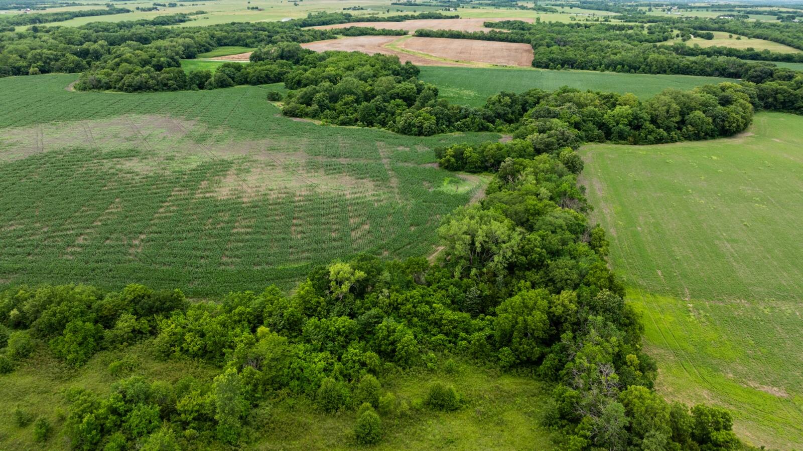 Land for Sale in Osage County, KS (35 of 40)