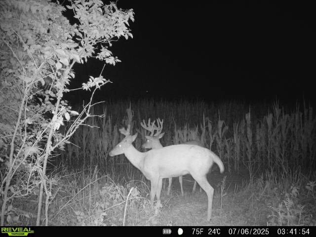 Land for Sale in Osage County, KS (38 of 40)