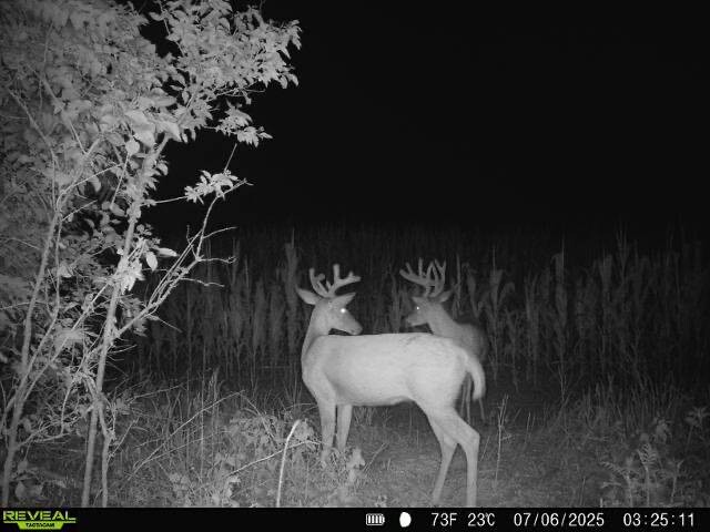 Land for Sale in Osage County, KS (39 of 40)