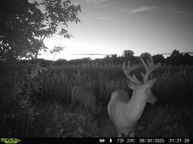 Land for Sale in Osage County, KS (40 of 40)