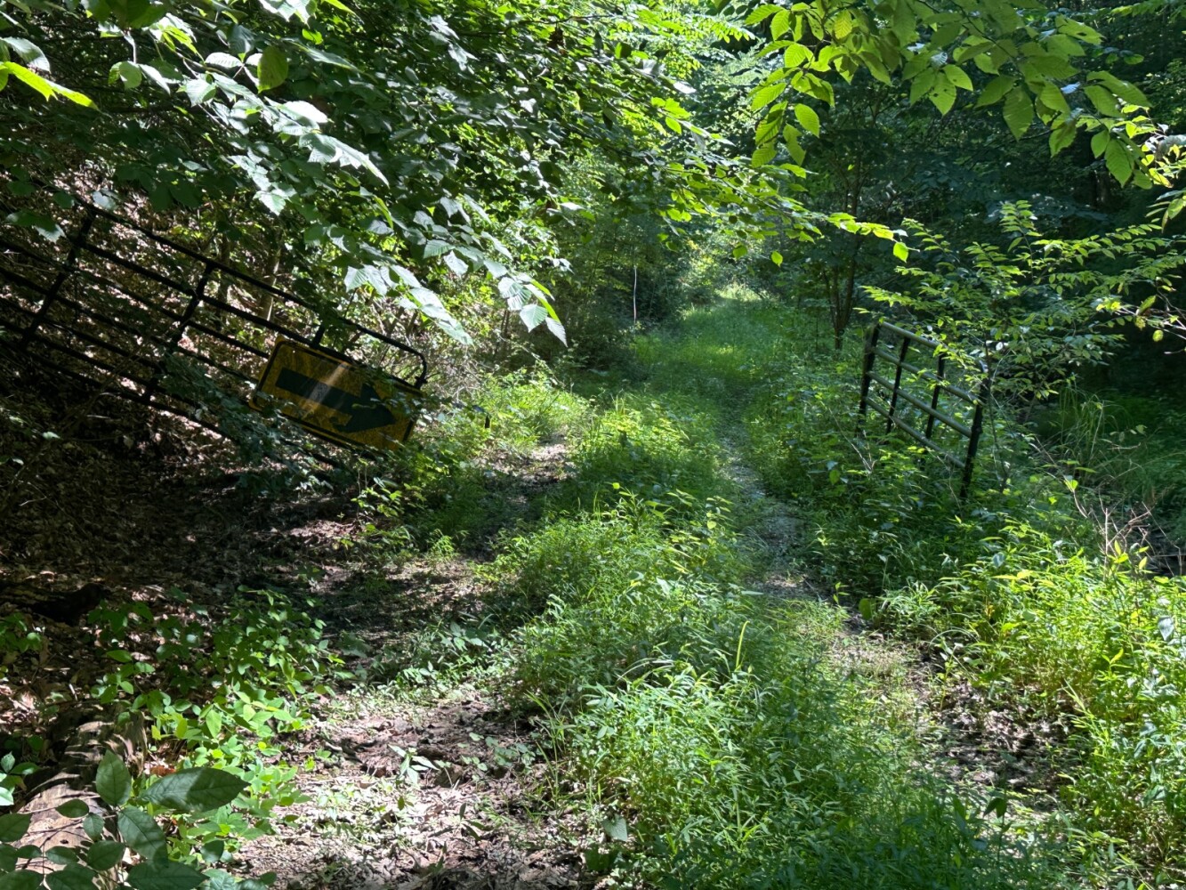 Land for Sale in Casey County, KY (6 of 34)