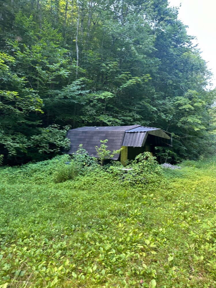 Land for Sale in Casey County, KY (11 of 34)